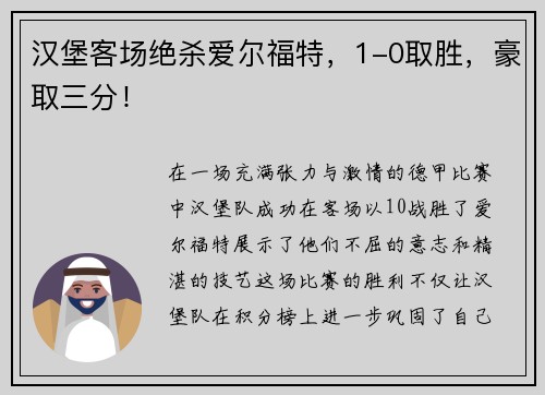 汉堡客场绝杀爱尔福特，1-0取胜，豪取三分！